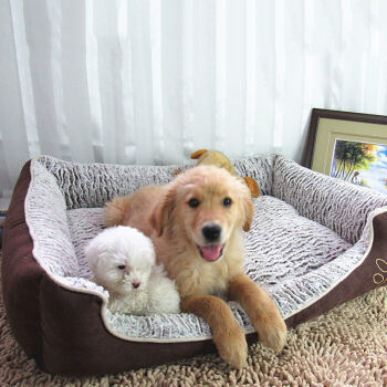 优享家居 为爱宠打造的全拆洗舒适犬窝推荐