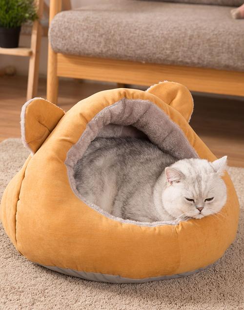 暖冬安睡指南 神经猫猫窝与半封闭式狗狗窝，给毛孩子一个保暖的小家